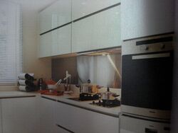 Cairnhill Residences (D9), Apartment #532937661